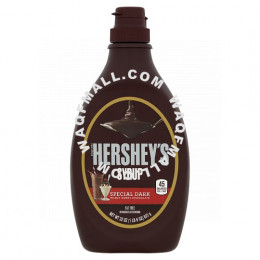 Hershey's Special Dark Syrup 623g