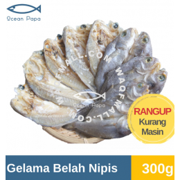 Ocean Papa Ikan Masin Gelama Belah Nipis Gred A (300g) / Salted Fish